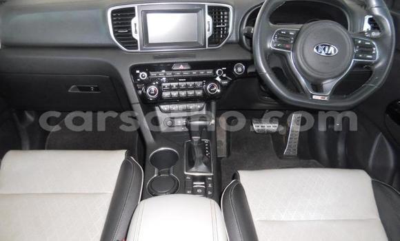 Acheter Occasion Voiture Kia Sportage Blanc à Maseru, Maseru Acheter Occasion Voiture Kia Sportage Blanc à Maseru, Maseru