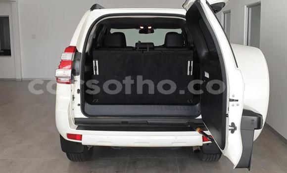 Acheter Occasion Voiture Toyota Land Cruiser Prado Blanc à Maseru, Maseru Acheter Occasion Voiture Toyota Land Cruiser Prado Blanc à Maseru, Maseru