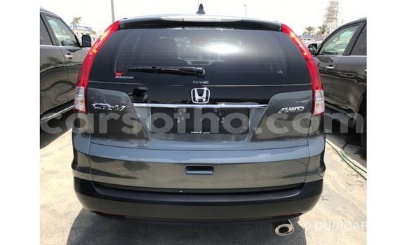 Buy Import Honda C Other Bike in Import - Dubai in Maseru Buy Import Honda C Other Bike in Import - Dubai in Maseru