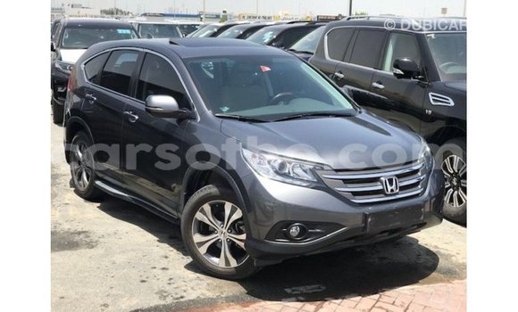 Buy Import Honda C Other Bike in Import - Dubai in Maseru Buy Import Honda C Other Bike in Import - Dubai in Maseru