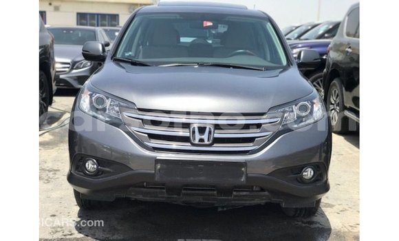 Buy Import Honda C Other Bike in Import - Dubai in Maseru Buy Import Honda C Other Bike in Import - Dubai in Maseru