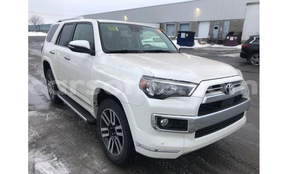 Acheter Import Voiture Toyota 4Runner Blanc à Import - Dubai, Maseru Acheter Import Voiture Toyota 4Runner Blanc à Import - Dubai, Maseru