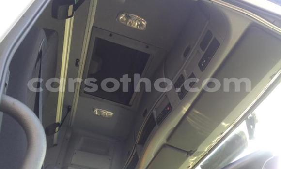 اشتري مستعمل Mercedes‒Benz 2644 White شاحنة في Hlotse في Leribe اشتري مستعمل Mercedes‒Benz 2644 White شاحنة في Hlotse في Leribe