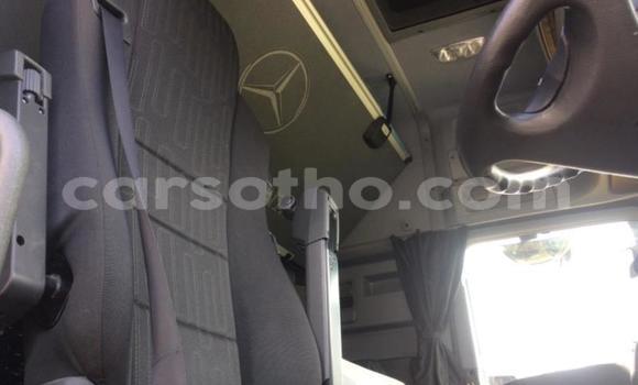 اشتري مستعمل Mercedes‒Benz 2644 White شاحنة في Hlotse في Leribe اشتري مستعمل Mercedes‒Benz 2644 White شاحنة في Hlotse في Leribe