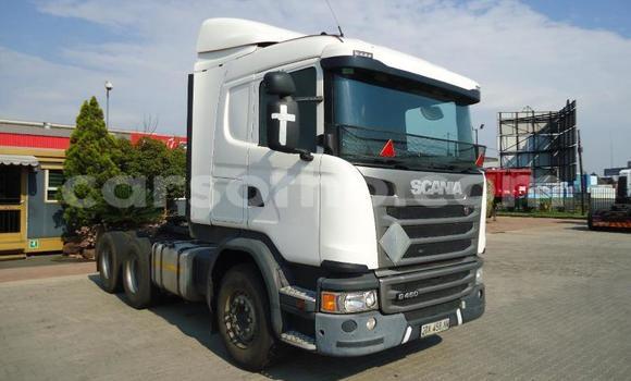 Sayi Na hannu Scania R420 White Babbar mota in Hlotse a Leribe Sayi Na hannu Scania R420 White Babbar mota in Hlotse a Leribe