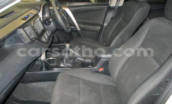 Sayi Na hannu Toyota RAV4 White Mota in Maseru a Maseru Sayi Na hannu Toyota RAV4 White Mota in Maseru a Maseru