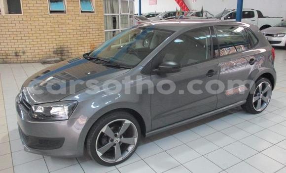 اشتري مستعمل Volkswagen Polo Other سيارة في Maseru في Maseru اشتري مستعمل Volkswagen Polo Other سيارة في Maseru في Maseru