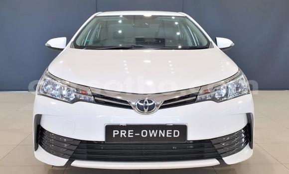 Sayi Na hannu Toyota Corolla White Mota in Maseru a Maseru Sayi Na hannu Toyota Corolla White Mota in Maseru a Maseru