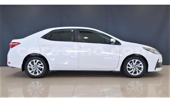 Sayi Na hannu Toyota Corolla White Mota in Maseru a Maseru Sayi Na hannu Toyota Corolla White Mota in Maseru a Maseru