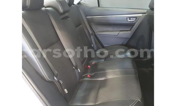 Sayi Na hannu Toyota Corolla White Mota in Maseru a Maseru Sayi Na hannu Toyota Corolla White Mota in Maseru a Maseru