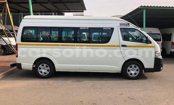 Buy Used Toyota iQ White Car in Butha–Buthe in Thaba-Tseka Buy Used Toyota iQ White Car in Butha–Buthe in Thaba-Tseka