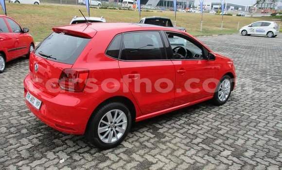 Buy Used Volkswagen Polo Red Car in Maseru in Maseru Buy Used Volkswagen Polo Red Car in Maseru in Maseru