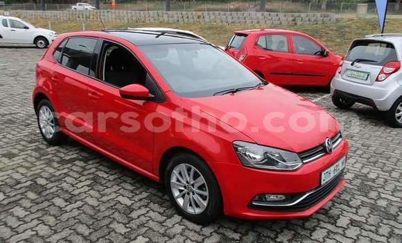 Buy Used Volkswagen Polo Red Car in Maseru in Maseru Buy Used Volkswagen Polo Red Car in Maseru in Maseru
