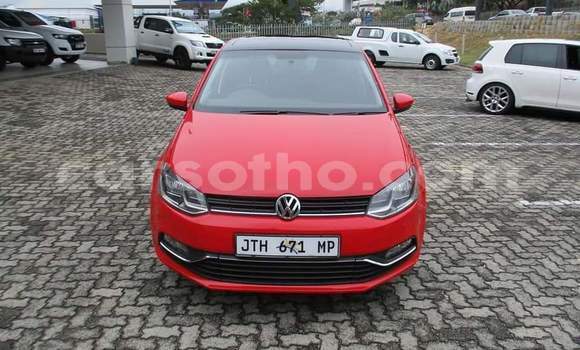 Buy Used Volkswagen Polo Red Car in Maseru in Maseru Buy Used Volkswagen Polo Red Car in Maseru in Maseru