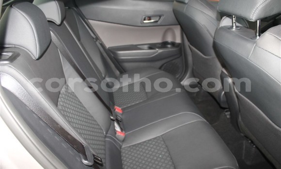 اشتري مستعمل Toyota C-HR Other سيارة في Mohale's Hoek في Mohale's Hoek اشتري مستعمل Toyota C-HR Other سيارة في Mohale's Hoek في Mohale's Hoek