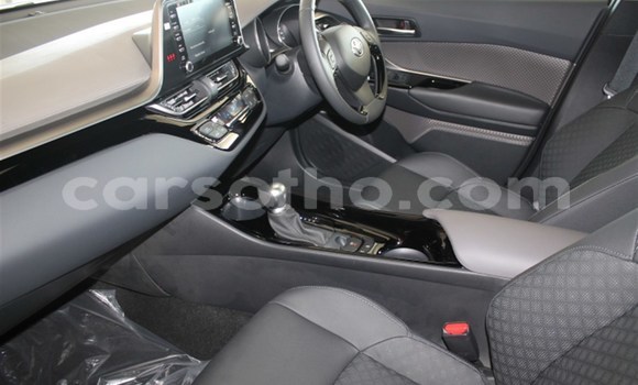 اشتري مستعمل Toyota C-HR Other سيارة في Mohale's Hoek في Mohale's Hoek اشتري مستعمل Toyota C-HR Other سيارة في Mohale's Hoek في Mohale's Hoek
