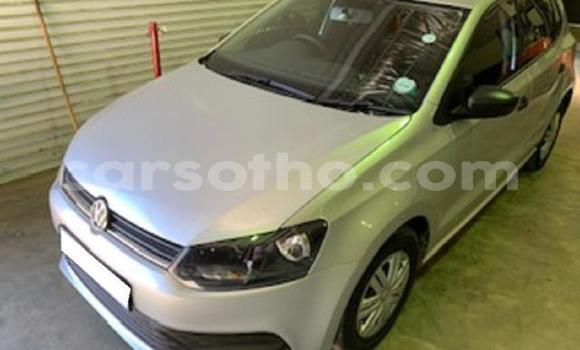 Acheter Occasion Voiture Volkswagen Polo Gris à Thaba–Tseka, Mafeteng Acheter Occasion Voiture Volkswagen Polo Gris à Thaba–Tseka, Mafeteng