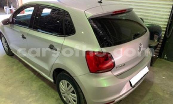 Acheter Occasion Voiture Volkswagen Polo Gris à Thaba–Tseka, Mafeteng Acheter Occasion Voiture Volkswagen Polo Gris à Thaba–Tseka, Mafeteng