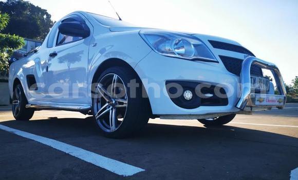 اشتري مستعمل Chevrolet Corsa White سيارة في Mafeteng في Mafeteng اشتري مستعمل Chevrolet Corsa White سيارة في Mafeteng في Mafeteng
