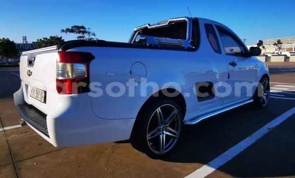 اشتري مستعمل Chevrolet Corsa White سيارة في Mafeteng في Mafeteng اشتري مستعمل Chevrolet Corsa White سيارة في Mafeteng في Mafeteng