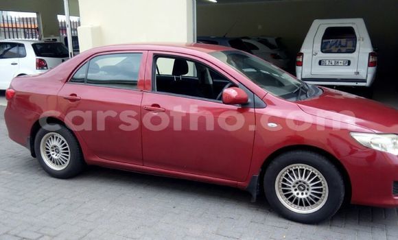 Sayi Na hannu Toyota Corolla Red Mota in Butha–Buthe a Thaba-Tseka Sayi Na hannu Toyota Corolla Red Mota in Butha–Buthe a Thaba-Tseka