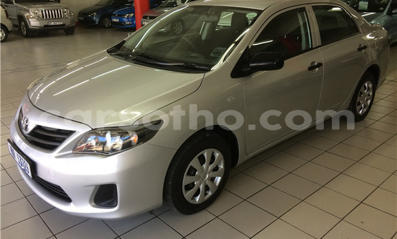 Acheter Occasion Voiture Toyota Corolla Gris à Maseru, Maseru Acheter Occasion Voiture Toyota Corolla Gris à Maseru, Maseru