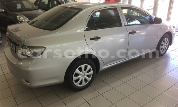 Acheter Occasion Voiture Toyota Corolla Gris à Maseru, Maseru Acheter Occasion Voiture Toyota Corolla Gris à Maseru, Maseru