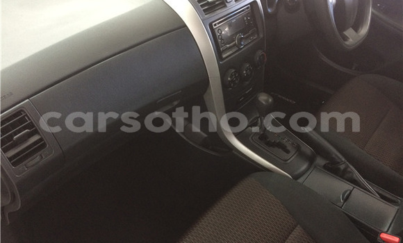 Acheter Occasion Voiture Toyota Corolla Gris à Maseru, Maseru Acheter Occasion Voiture Toyota Corolla Gris à Maseru, Maseru