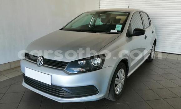 Sayi Na hannu Volkswagen Polo Silver Mota in Mafeteng a Mafeteng Sayi Na hannu Volkswagen Polo Silver Mota in Mafeteng a Mafeteng