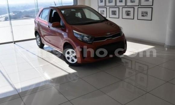 Sayi Na hannu Kia Picanto Red Mota in Maseru a Maseru Sayi Na hannu Kia Picanto Red Mota in Maseru a Maseru
