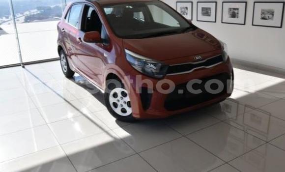Sayi Na hannu Kia Picanto Red Mota in Maseru a Maseru Sayi Na hannu Kia Picanto Red Mota in Maseru a Maseru