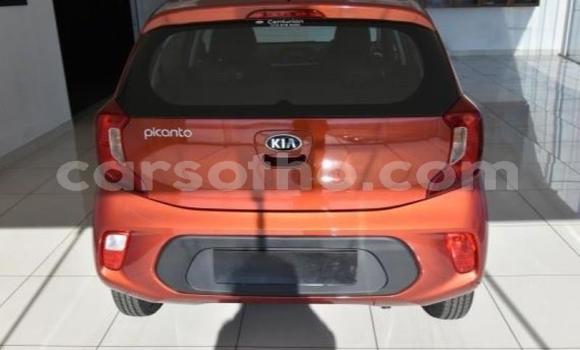 Sayi Na hannu Kia Picanto Red Mota in Maseru a Maseru Sayi Na hannu Kia Picanto Red Mota in Maseru a Maseru