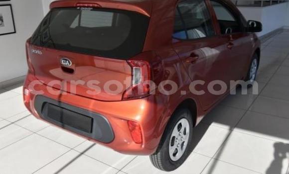 Sayi Na hannu Kia Picanto Red Mota in Maseru a Maseru Sayi Na hannu Kia Picanto Red Mota in Maseru a Maseru