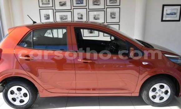 Sayi Na hannu Kia Picanto Red Mota in Maseru a Maseru Sayi Na hannu Kia Picanto Red Mota in Maseru a Maseru