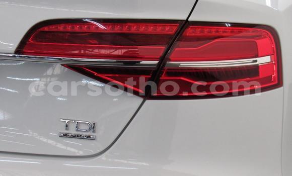 Sayi Na hannu Audi A8 White Mota in Maseru a Maseru Sayi Na hannu Audi A8 White Mota in Maseru a Maseru