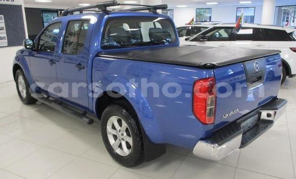 Sayi Na hannu Nissan Navara Blue Mota in Maseru a Maseru Sayi Na hannu Nissan Navara Blue Mota in Maseru a Maseru