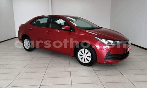 Sayi Na hannu Toyota Corolla Red Mota in Mafeteng a Mafeteng Sayi Na hannu Toyota Corolla Red Mota in Mafeteng a Mafeteng