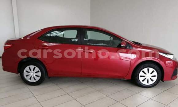 Sayi Na hannu Toyota Corolla Red Mota in Mafeteng a Mafeteng Sayi Na hannu Toyota Corolla Red Mota in Mafeteng a Mafeteng