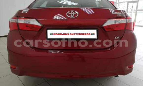 Sayi Na hannu Toyota Corolla Red Mota in Mafeteng a Mafeteng Sayi Na hannu Toyota Corolla Red Mota in Mafeteng a Mafeteng
