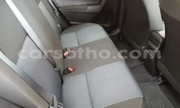 Sayi Na hannu Toyota Corolla Red Mota in Mafeteng a Mafeteng Sayi Na hannu Toyota Corolla Red Mota in Mafeteng a Mafeteng