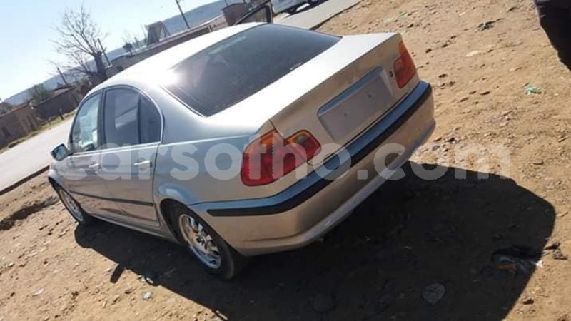 Big with watermark 53293096 10205163170355130 8922981513071427584 n