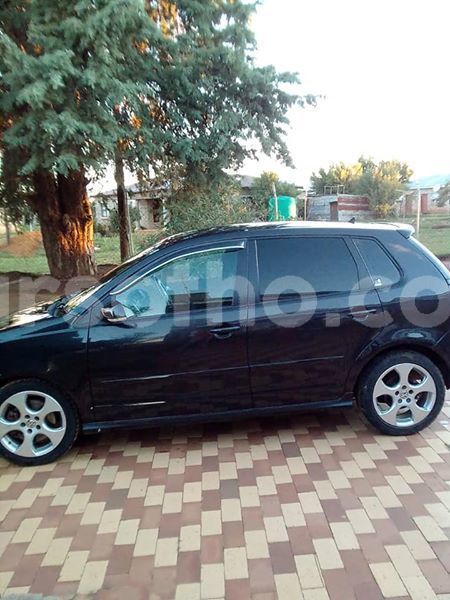 Big with watermark 52768846 10205148043216961 6574083166112317440 n