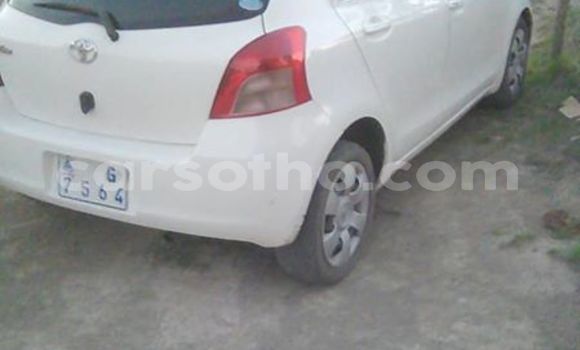 Buy Used Toyota Vitz White Car in Maseru in Maseru Buy Used Toyota Vitz White Car in Maseru in Maseru
