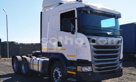 Acheter Occasion Utilitaire Scania R420 Blanc à Butha–Buthe, Thaba-Tseka