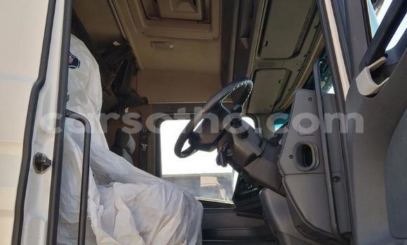 Buy Used Scania R420 White Truck in Butha–Buthe in Thaba-Tseka Buy Used Scania R420 White Truck in Butha–Buthe in Thaba-Tseka