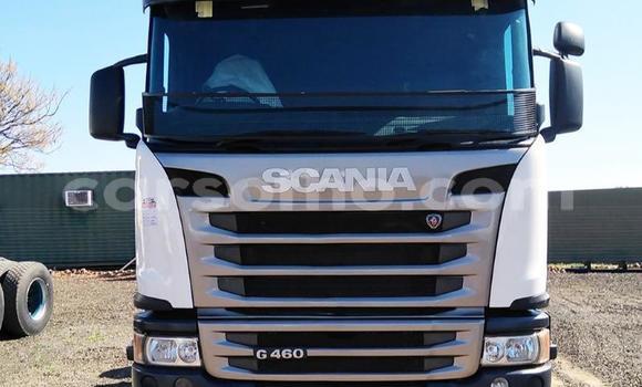 Buy Used Scania R420 White Truck in Butha–Buthe in Thaba-Tseka Buy Used Scania R420 White Truck in Butha–Buthe in Thaba-Tseka