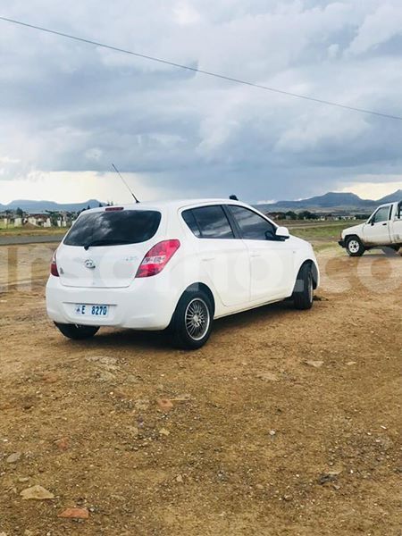 Big with watermark 50872785 10205053371490227 1866133165211385856 n