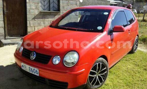 اشتري مستعمل Volkswagen Polo Red سيارة في Maseru في Maseru اشتري مستعمل Volkswagen Polo Red سيارة في Maseru في Maseru