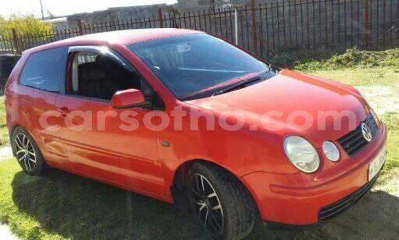 اشتري مستعمل Volkswagen Polo Red سيارة في Maseru في Maseru اشتري مستعمل Volkswagen Polo Red سيارة في Maseru في Maseru