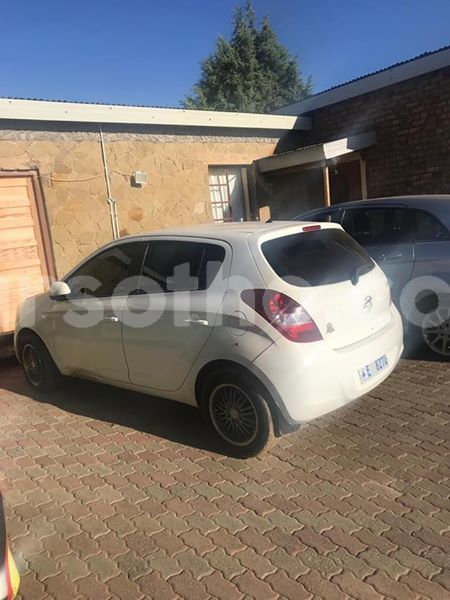 Big with watermark 50730833 10205053373330273 225112120885248000 n